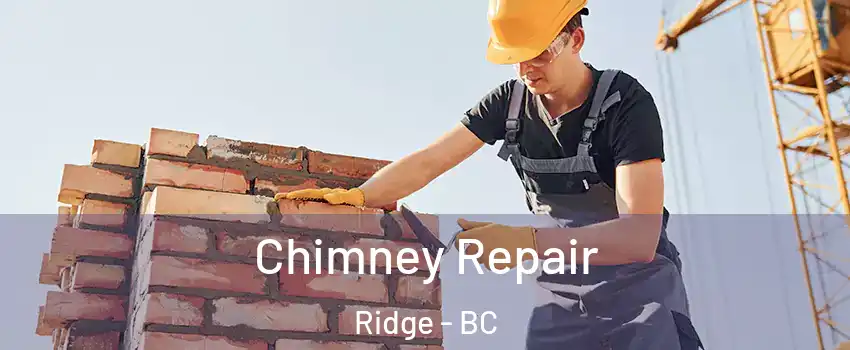  Chimney Repair Ridge - BC