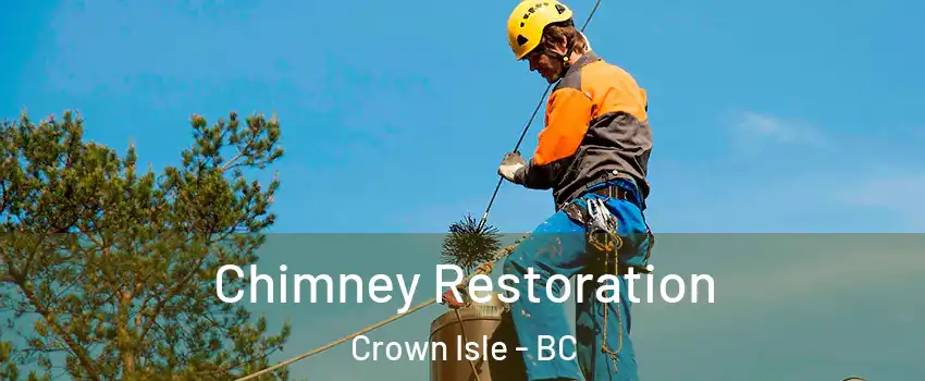  Chimney Restoration Crown Isle - BC