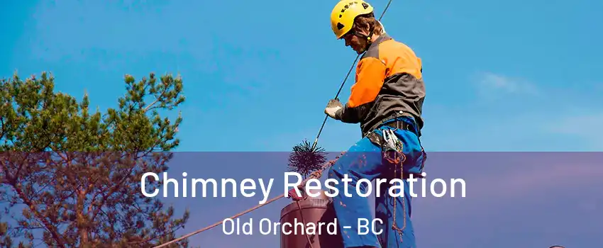  Chimney Restoration Old Orchard - BC
