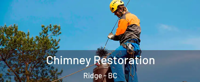  Chimney Restoration Ridge - BC