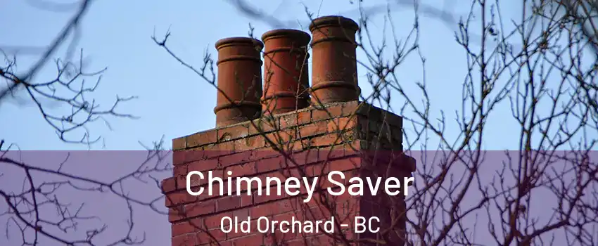  Chimney Saver Old Orchard - BC
