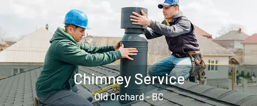  Chimney Service Old Orchard - BC