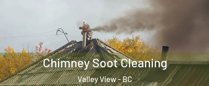  Chimney Soot Cleaning Valley View - BC