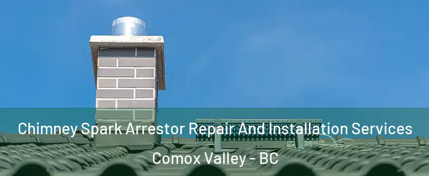  Chimney Spark Arrestor Repair And Installation Services Comox Valley - BC