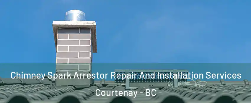  Chimney Spark Arrestor Repair And Installation Services Courtenay - BC