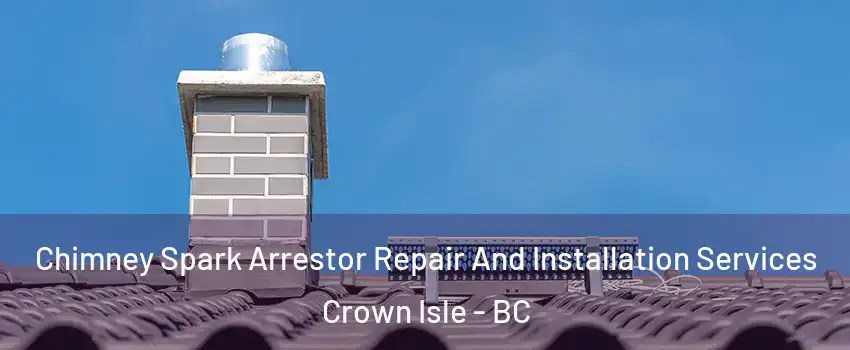  Chimney Spark Arrestor Repair And Installation Services Crown Isle - BC
