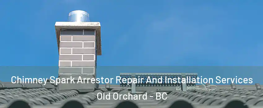  Chimney Spark Arrestor Repair And Installation Services Old Orchard - BC