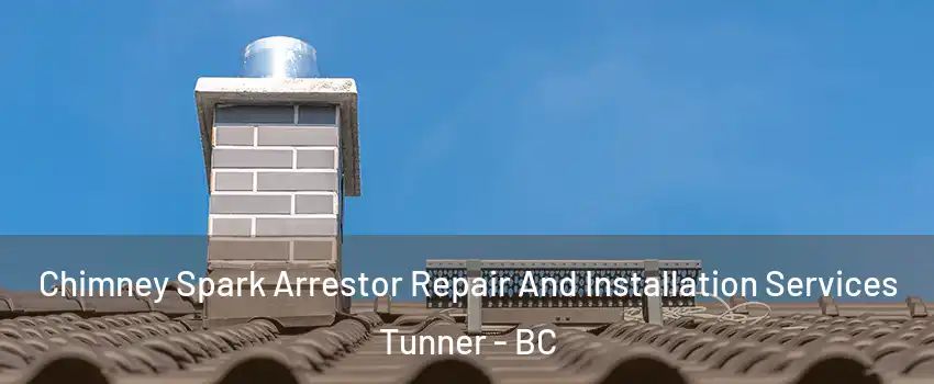  Chimney Spark Arrestor Repair And Installation Services Tunner - BC