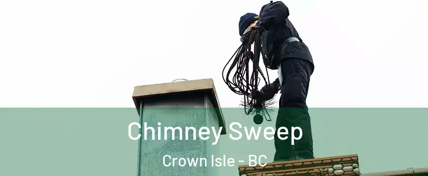  Chimney Sweep Crown Isle - BC