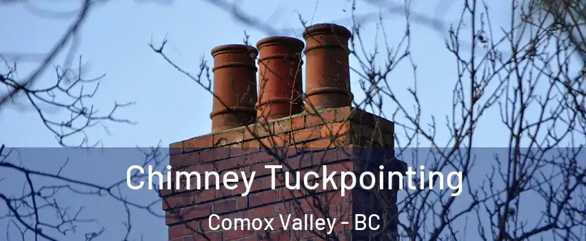  Chimney Tuckpointing Comox Valley - BC