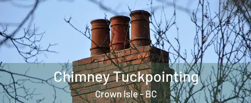  Chimney Tuckpointing Crown Isle - BC