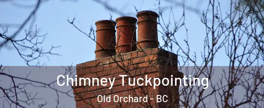  Chimney Tuckpointing Old Orchard - BC