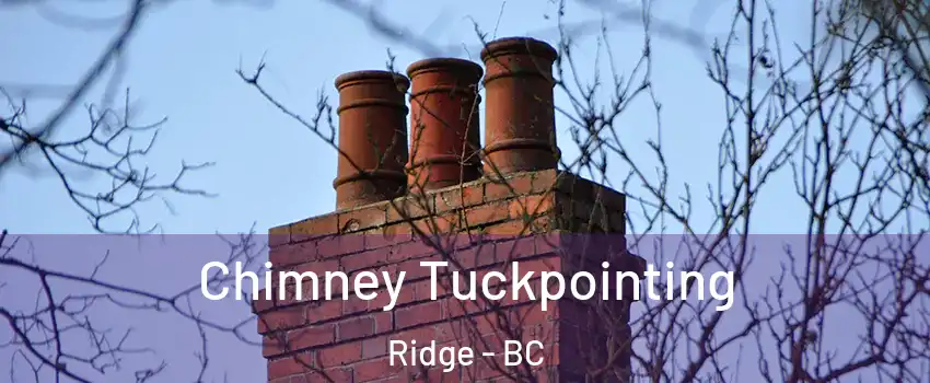  Chimney Tuckpointing Ridge - BC