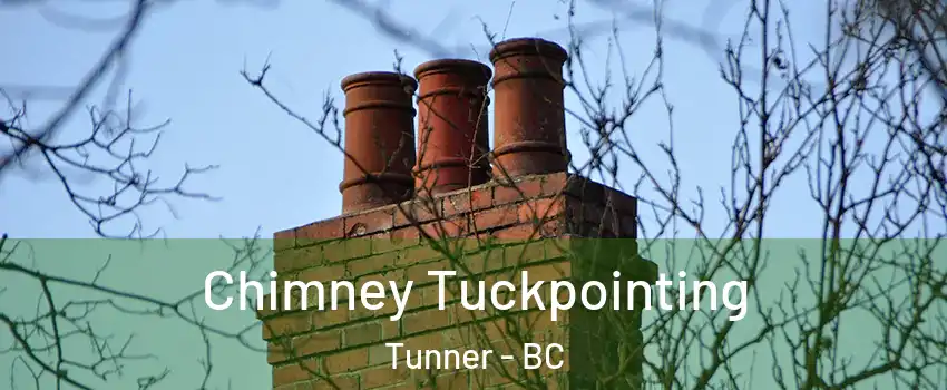  Chimney Tuckpointing Tunner - BC
