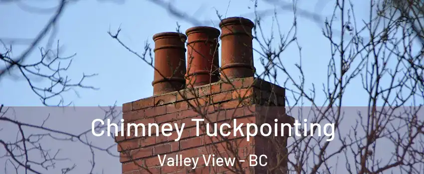 Chimney Tuckpointing Valley View - BC
