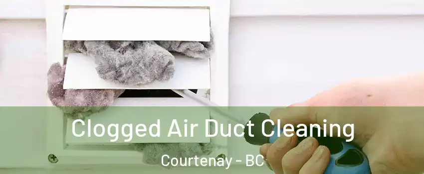  Clogged Air Duct Cleaning Courtenay - BC