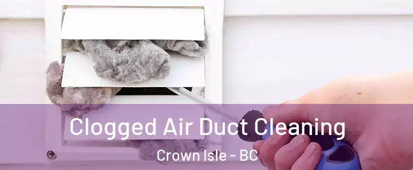  Clogged Air Duct Cleaning Crown Isle - BC