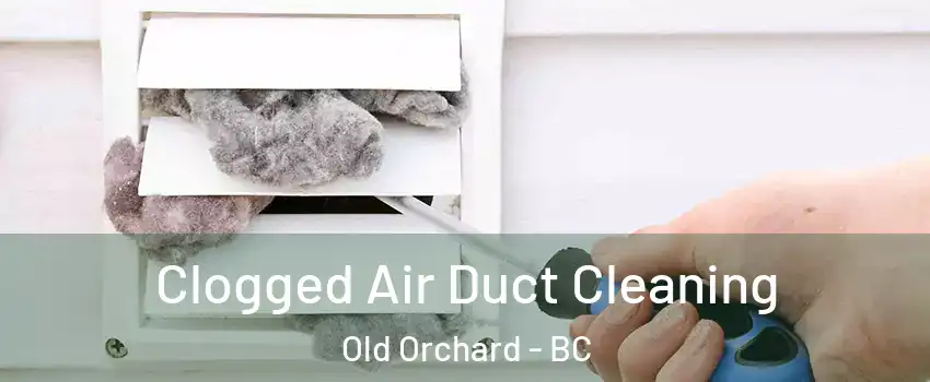 Clogged Air Duct Cleaning Old Orchard - BC