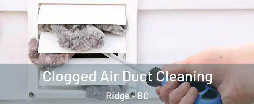  Clogged Air Duct Cleaning Ridge - BC