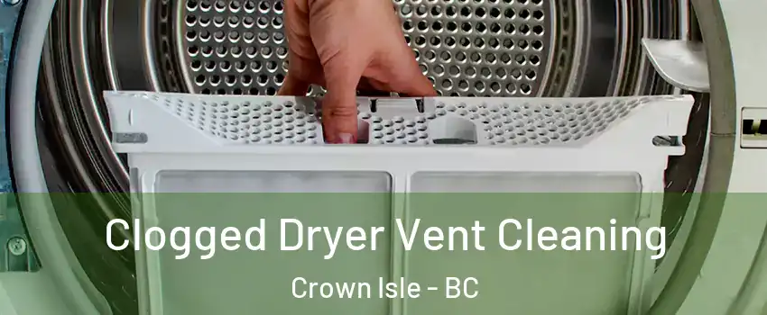  Clogged Dryer Vent Cleaning Crown Isle - BC