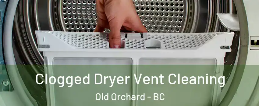  Clogged Dryer Vent Cleaning Old Orchard - BC
