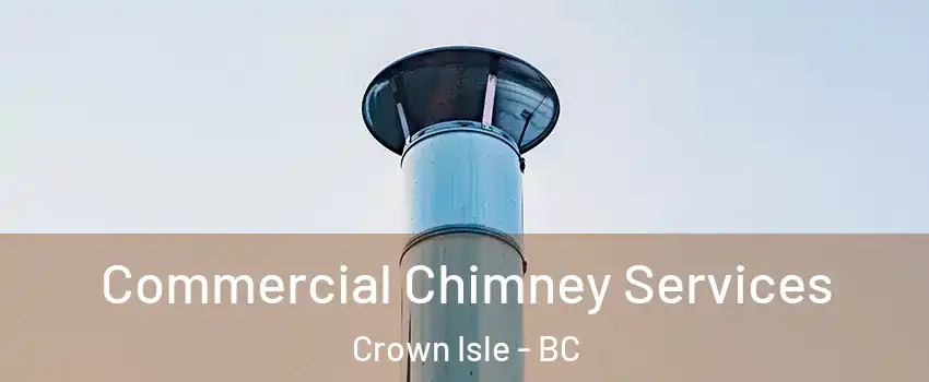  Commercial Chimney Services Crown Isle - BC