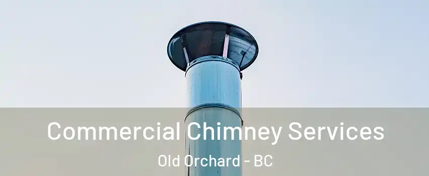  Commercial Chimney Services Old Orchard - BC