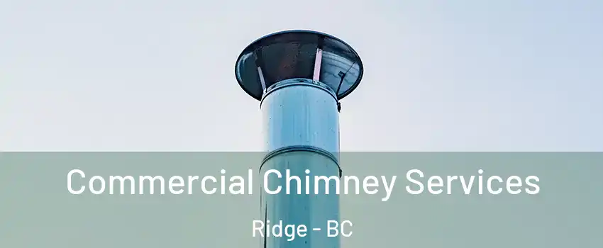  Commercial Chimney Services Ridge - BC