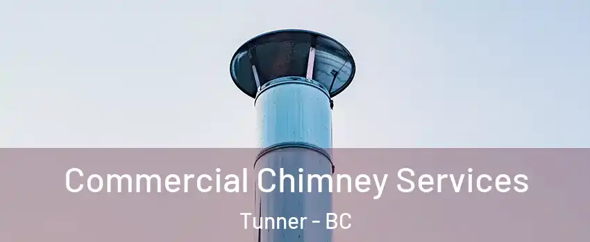  Commercial Chimney Services Tunner - BC