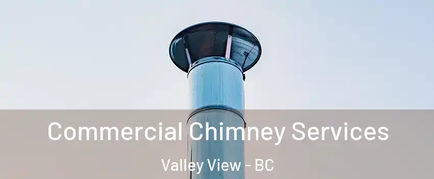  Commercial Chimney Services Valley View - BC
