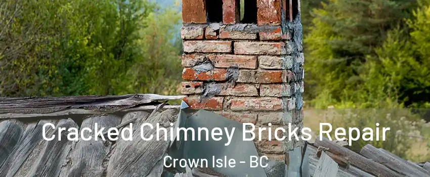  Cracked Chimney Bricks Repair Crown Isle - BC