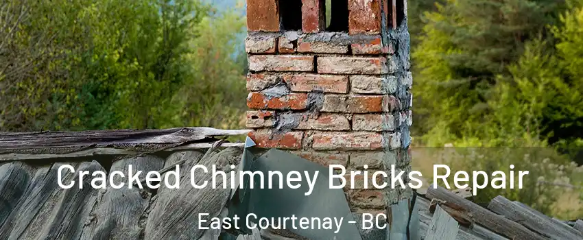  Cracked Chimney Bricks Repair East Courtenay - BC