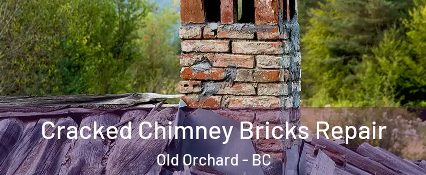 Cracked Chimney Bricks Repair Old Orchard - BC