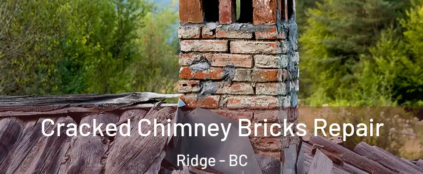  Cracked Chimney Bricks Repair Ridge - BC