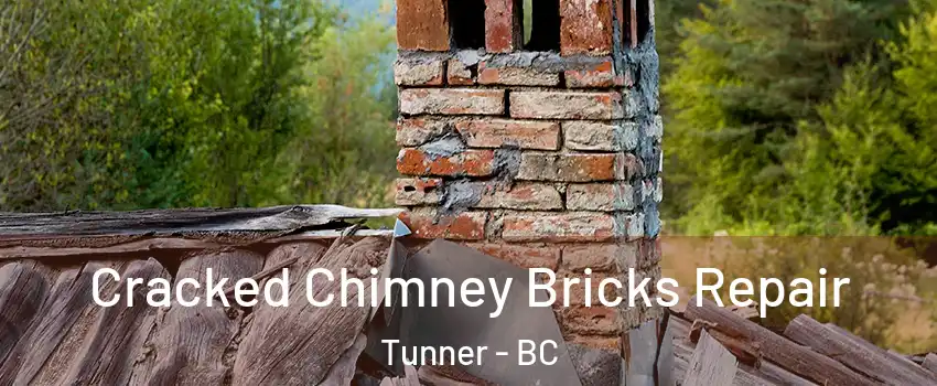  Cracked Chimney Bricks Repair Tunner - BC