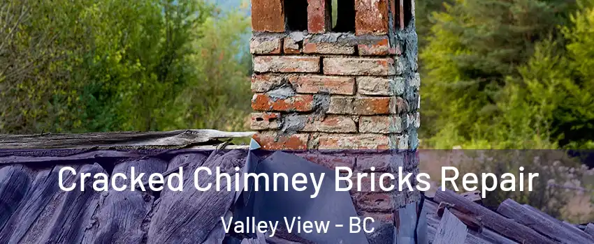  Cracked Chimney Bricks Repair Valley View - BC