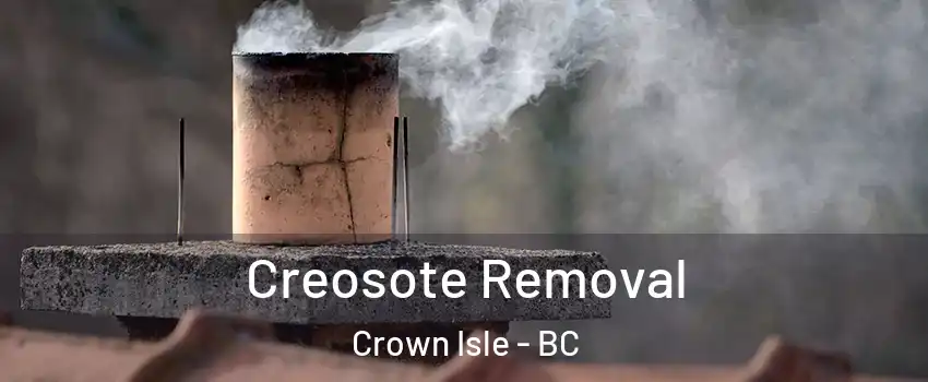  Creosote Removal Crown Isle - BC