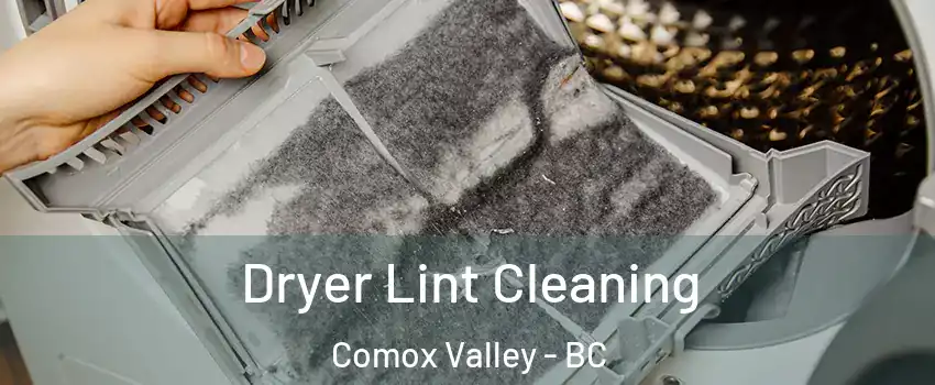  Dryer Lint Cleaning Comox Valley - BC