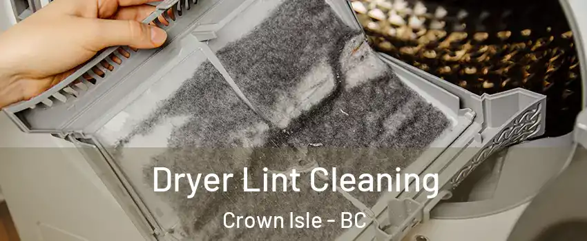  Dryer Lint Cleaning Crown Isle - BC