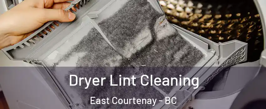  Dryer Lint Cleaning East Courtenay - BC