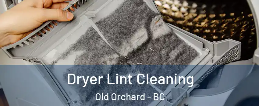  Dryer Lint Cleaning Old Orchard - BC