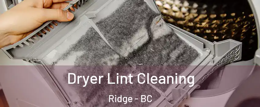 Dryer Lint Cleaning Ridge - BC