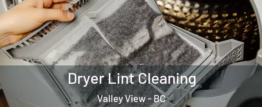  Dryer Lint Cleaning Valley View - BC