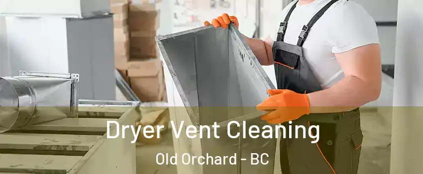  Dryer Vent Cleaning Old Orchard - BC