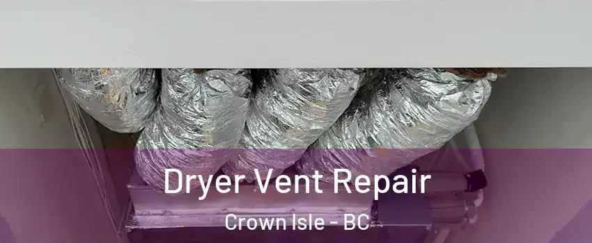  Dryer Vent Repair Crown Isle - BC