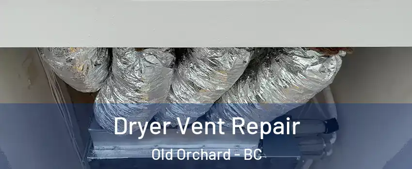  Dryer Vent Repair Old Orchard - BC