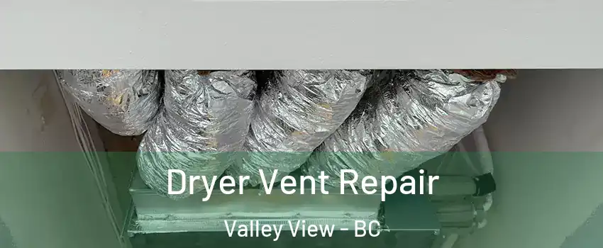  Dryer Vent Repair Valley View - BC