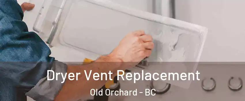  Dryer Vent Replacement Old Orchard - BC