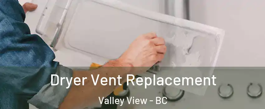  Dryer Vent Replacement Valley View - BC