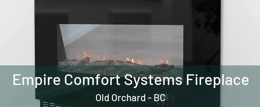  Empire Comfort Systems Fireplace Old Orchard - BC
